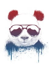 Stay Cool II Poster och Canvastavla