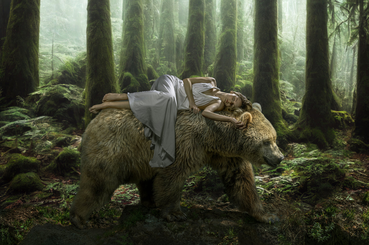 DreamBear Poster och Canvastavla