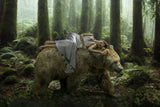 DreamBear Poster och Canvastavla