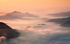 foggy morning in the mountains Poster och Canvastavla