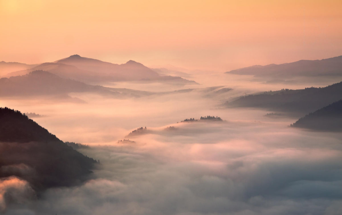 foggy morning in the mountains Poster och Canvastavla