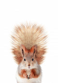 Baby Squirel Poster och Canvastavla