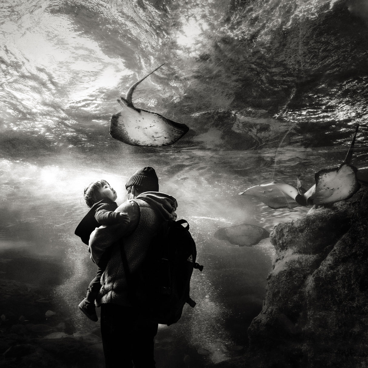Swimming of Memory Poster och Canvastavla
