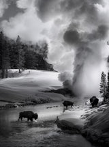 Geyser in action Poster och Canvastavla