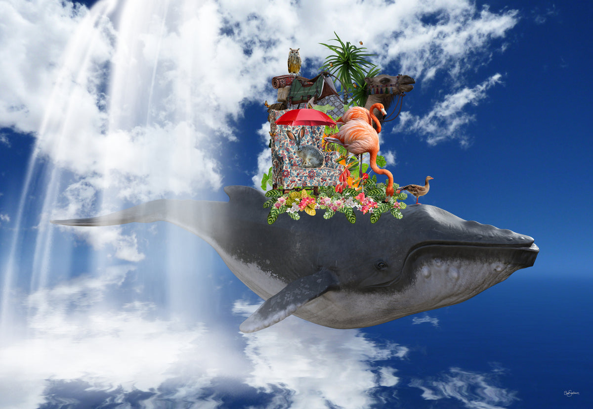 Floppy the Whale Poster och Canvastavla