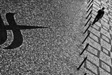 One Way Street Poster och Canvastavla