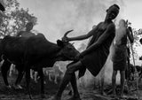 Ethiopian Mursi tribes Poster och Canvastavla