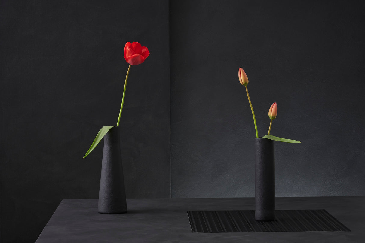 Tulipa Gesneriana N°3 Poster och Canvastavla