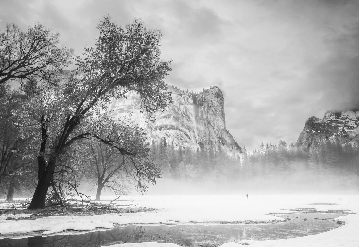 A Misty Winter Morning Poster och Canvastavla
