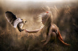 '...when two old souls touch...' Poster och Canvastavla