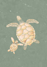 Gold Sage Green Turtles Poster och Canvastavla
