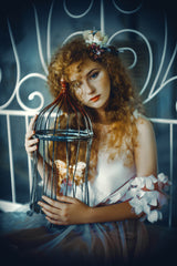 Never cage Your dreams Poster och Canvastavla
