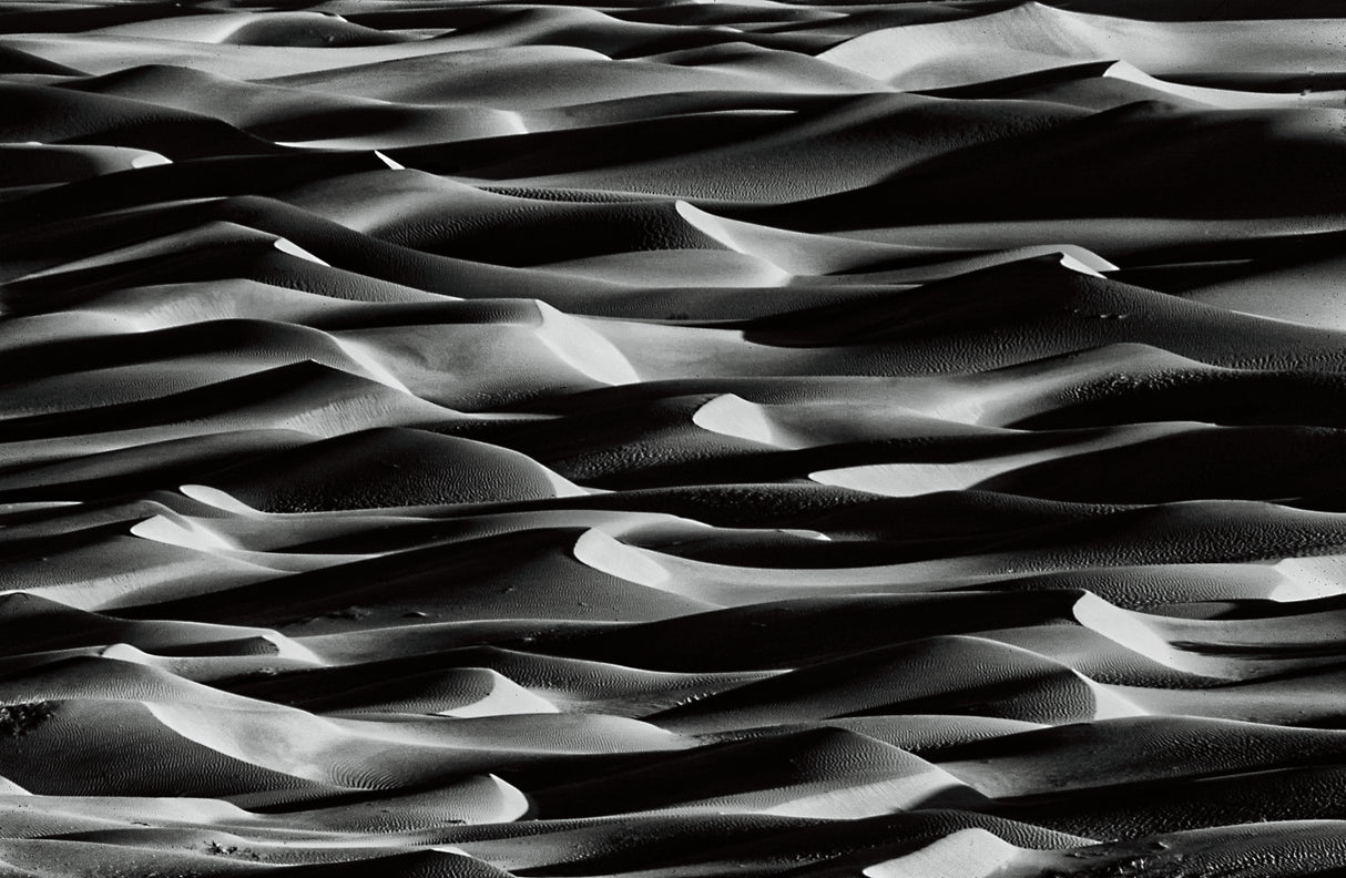 VALLE DELLA MORTE Poster och Canvastavla