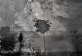 shadows (splitting) Poster och Canvastavla