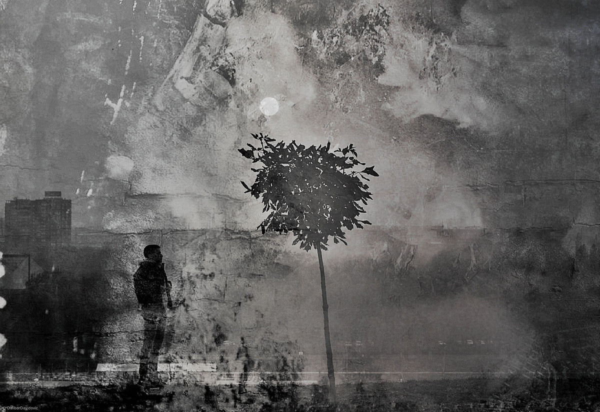 shadows (splitting) Poster och Canvastavla