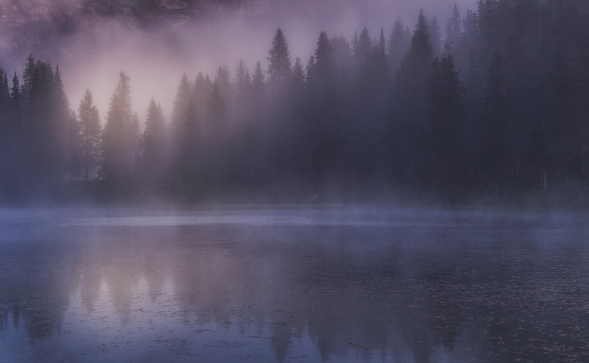 Antorno's fog Poster och Canvastavla