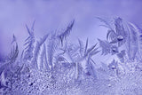A Garden of Frost Poster och Canvastavla