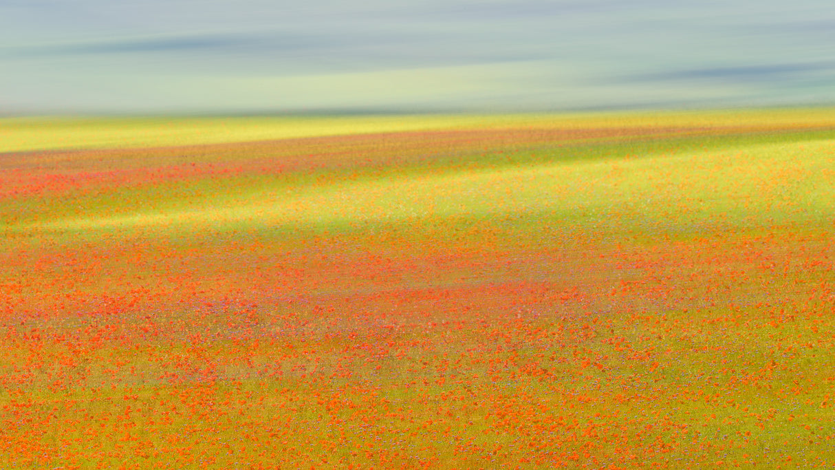 Castelluccio Colors Poster och Canvastavla