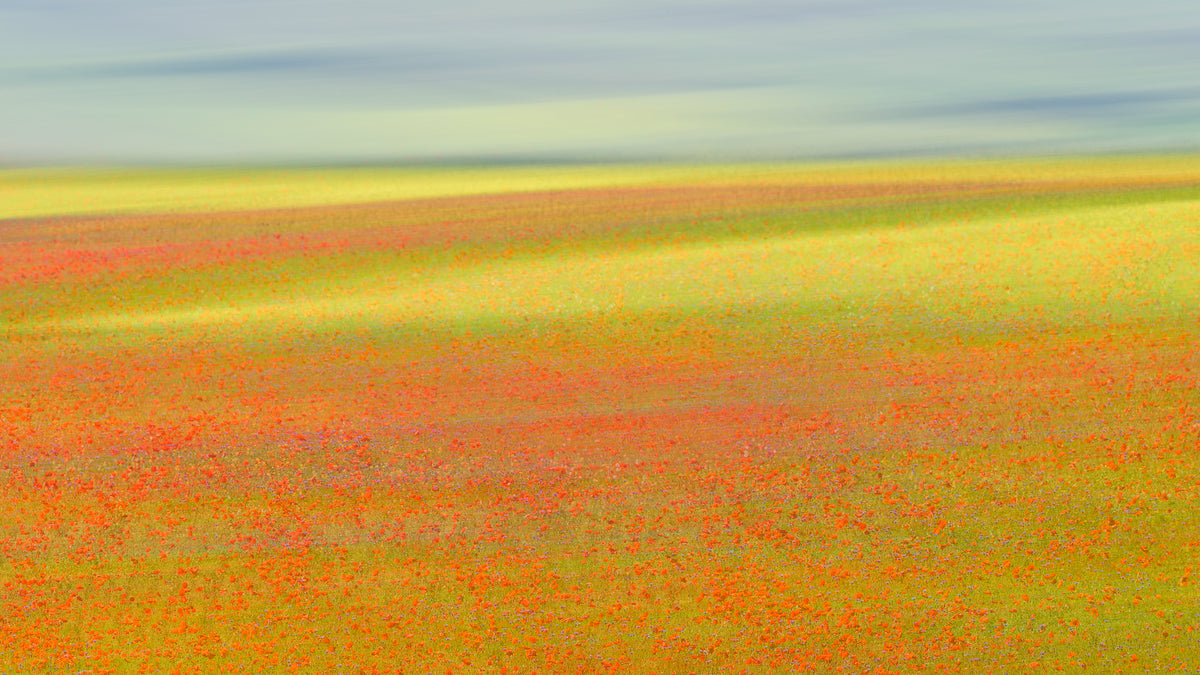 Castelluccio Colors Poster och Canvastavla