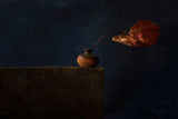 an autumn leaf. Poster och Canvastavla