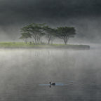 A morning shrouded in mist Poster och Canvastavla