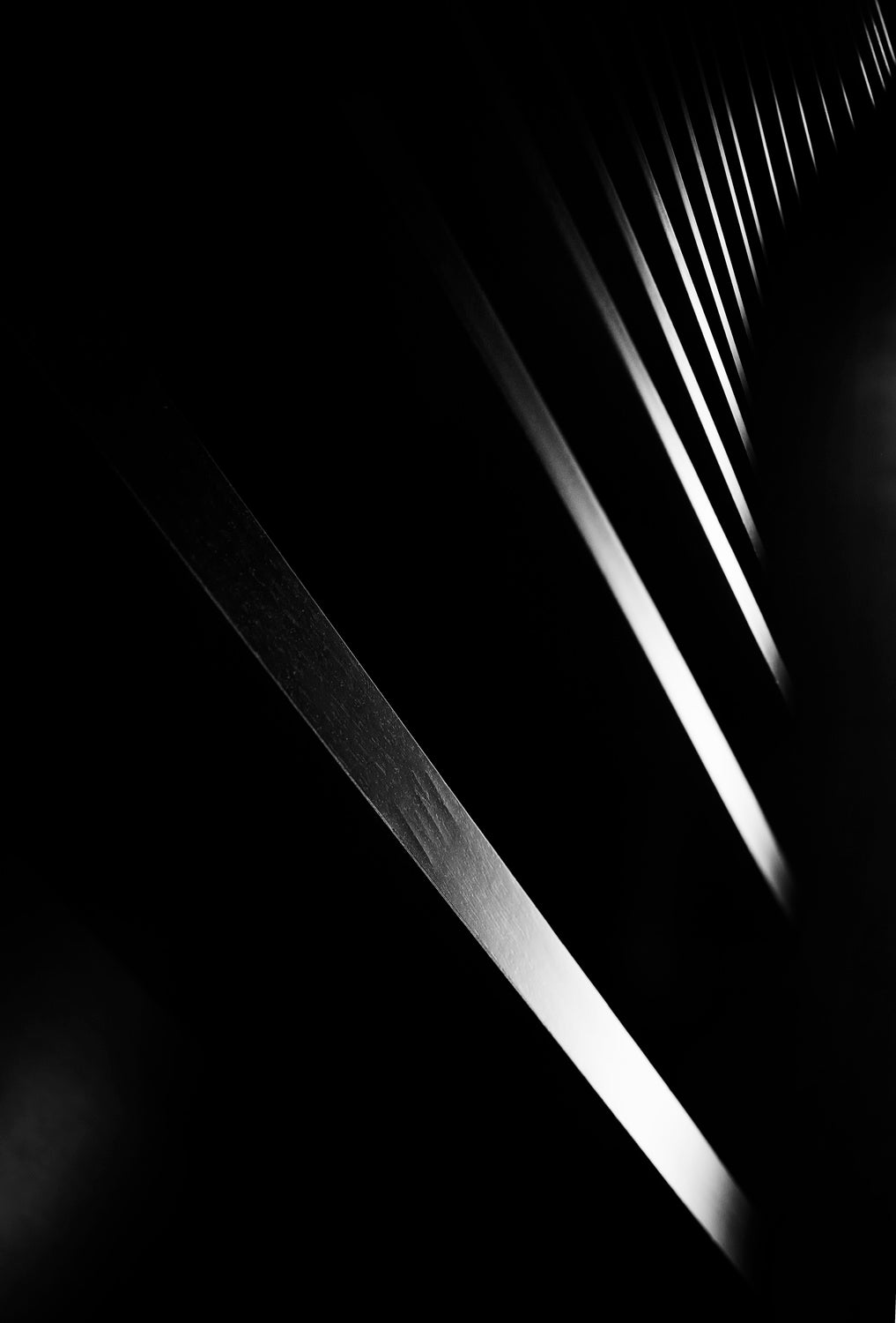 Light and Shadow Poster och Canvastavla