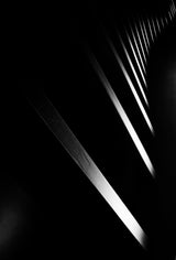 Light and Shadow Poster och Canvastavla