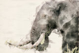 Abstract African Elephant Watercolor Art Poster och Canvastavla