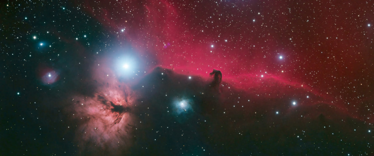 Horsehead and Flame Nebulae Poster och Canvastavla