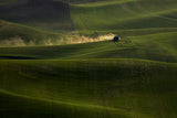 wheat field in Spring Poster och Canvastavla