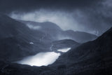 Winter comes Poster och Canvastavla