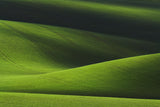 Landscape blending Poster och Canvastavla