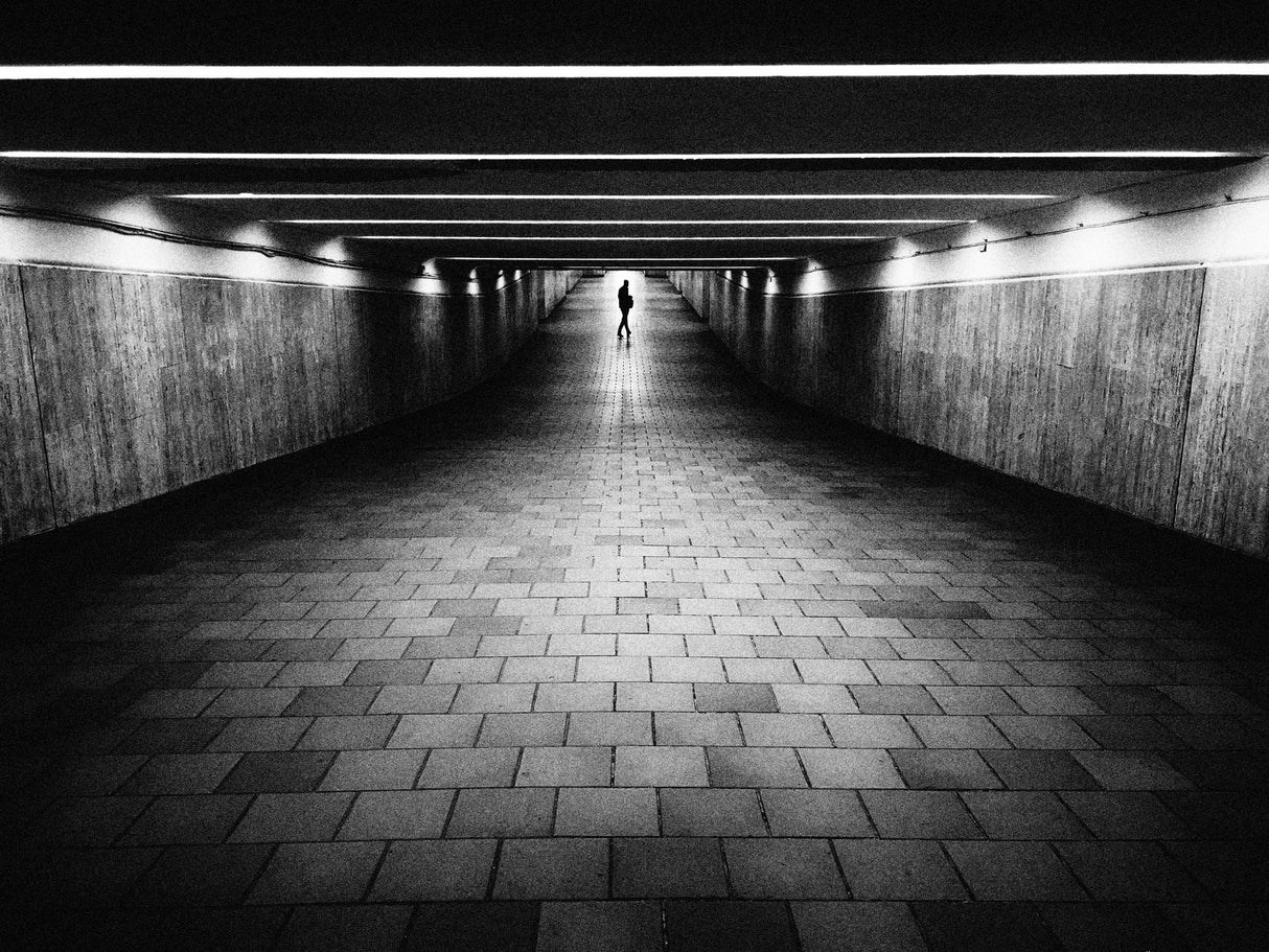 Lines Poster och Canvastavla