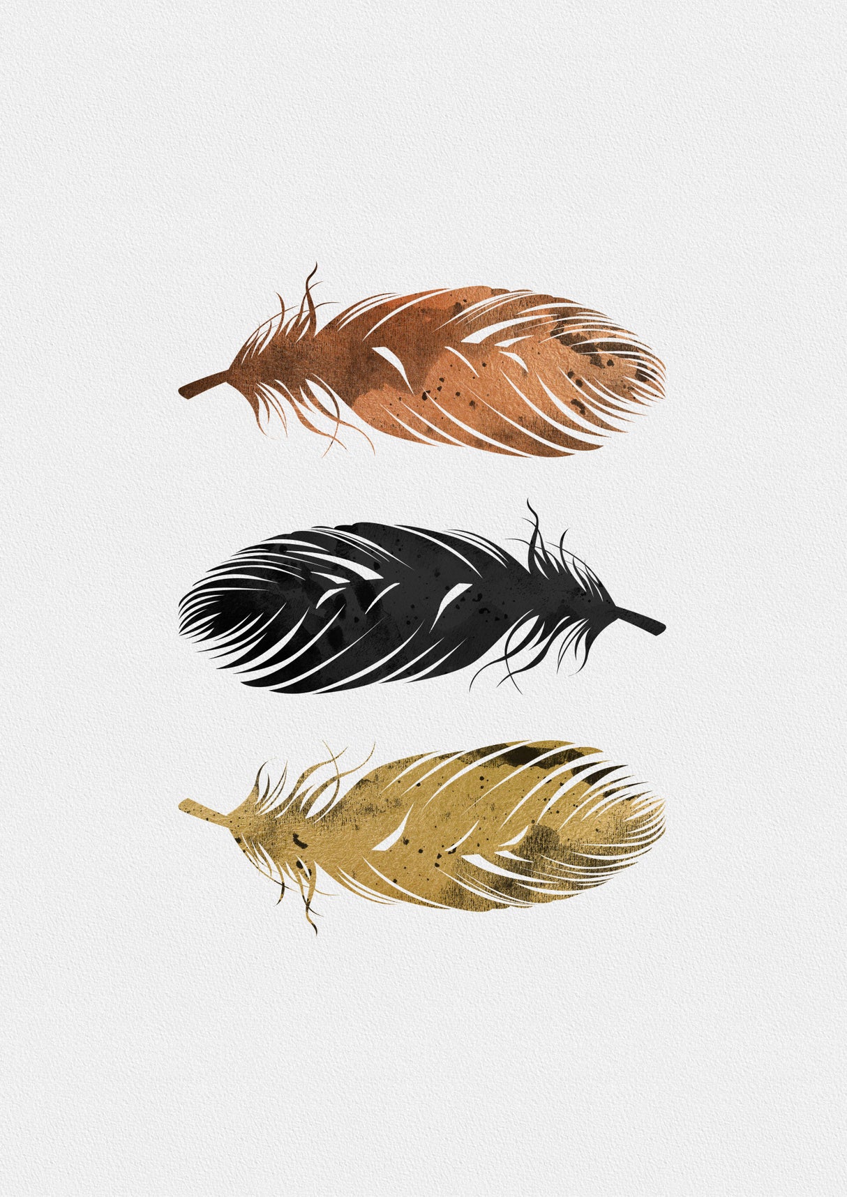 Feathers Poster och Canvastavla