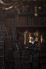 La biblioteca de Babel Poster och Canvastavla