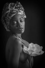 the beauty Poster och Canvastavla