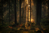 The light in the forest Poster och Canvastavla