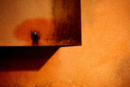 Wall. Poster och Canvastavla
