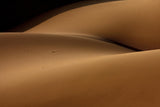Desert and the human torso Poster och Canvastavla