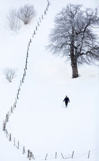 winter Poster och Canvastavla
