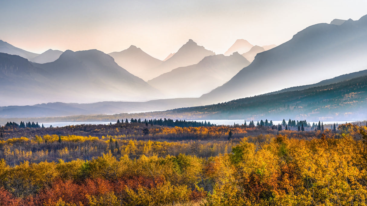 Autumn Mountain in Glacier Park Poster och Canvastavla