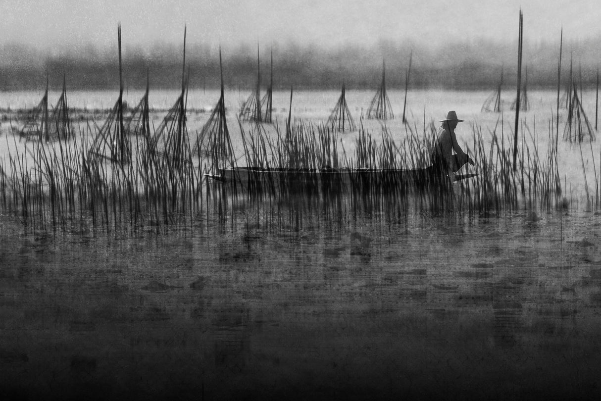 Stillness in the wetland Poster och Canvastavla