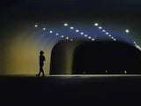 Lonely silhouette Poster och Canvastavla
