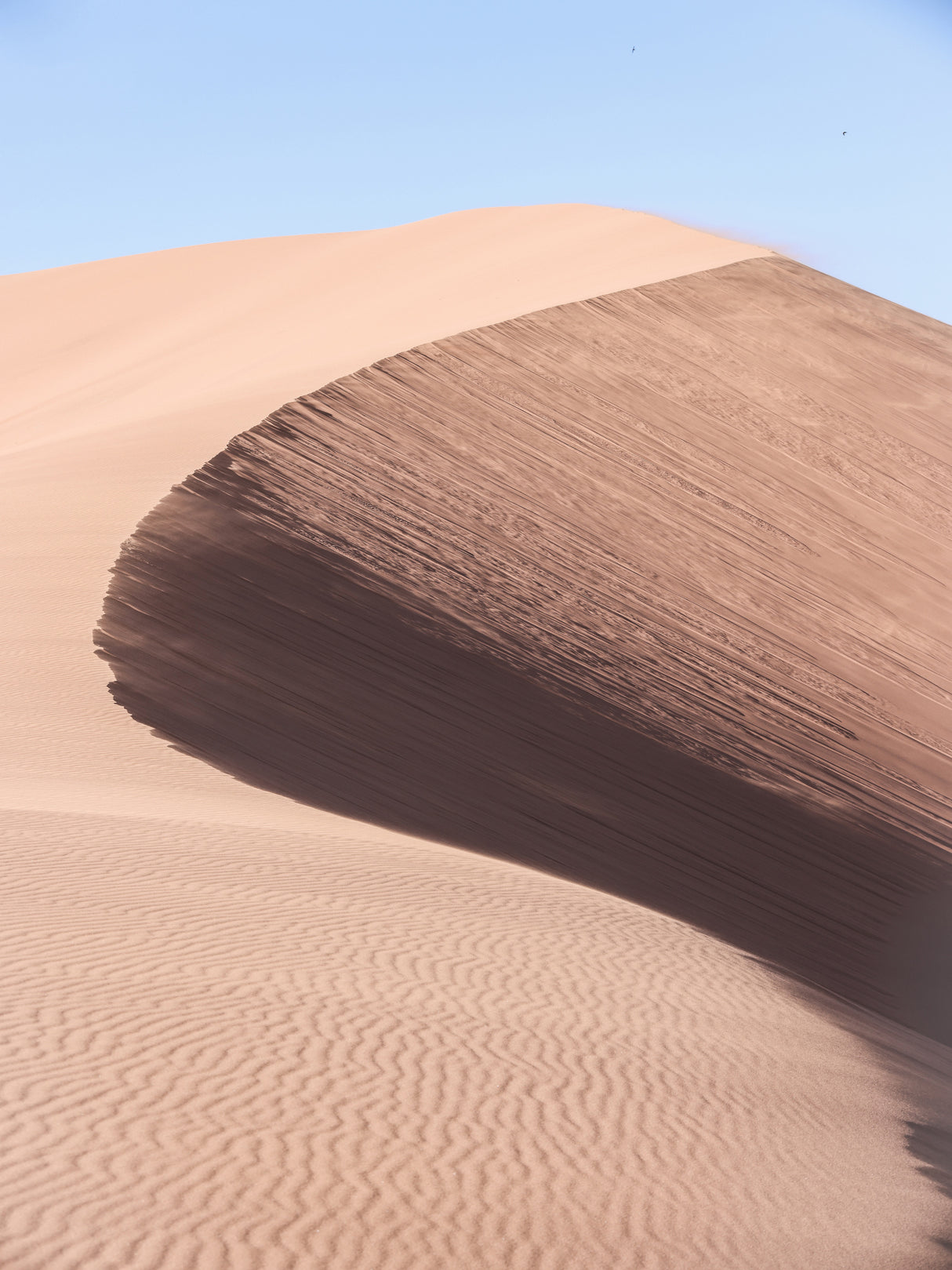Namib Three Poster och Canvastavla