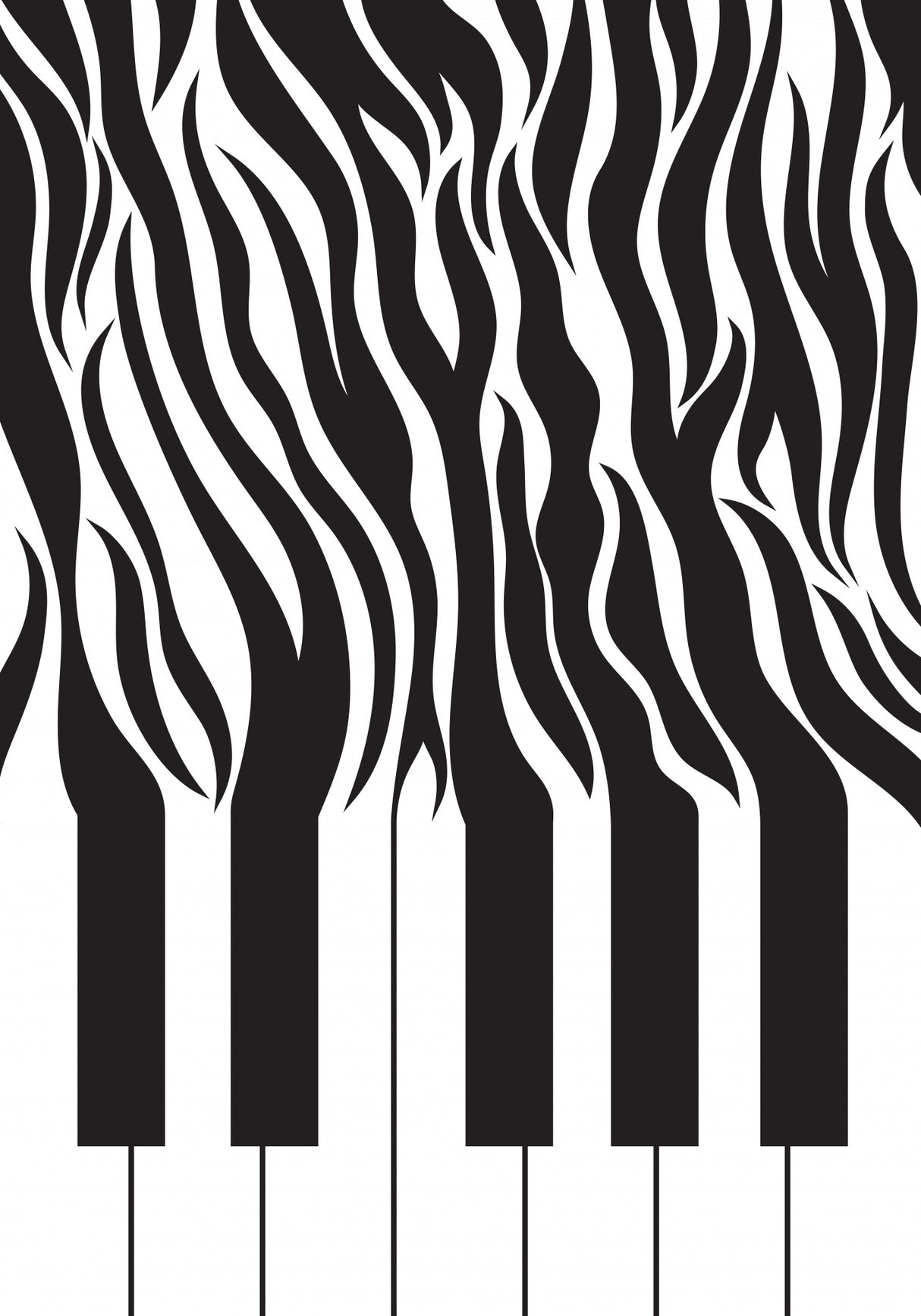 Zebra Piano print black and white Poster och Canvastavla