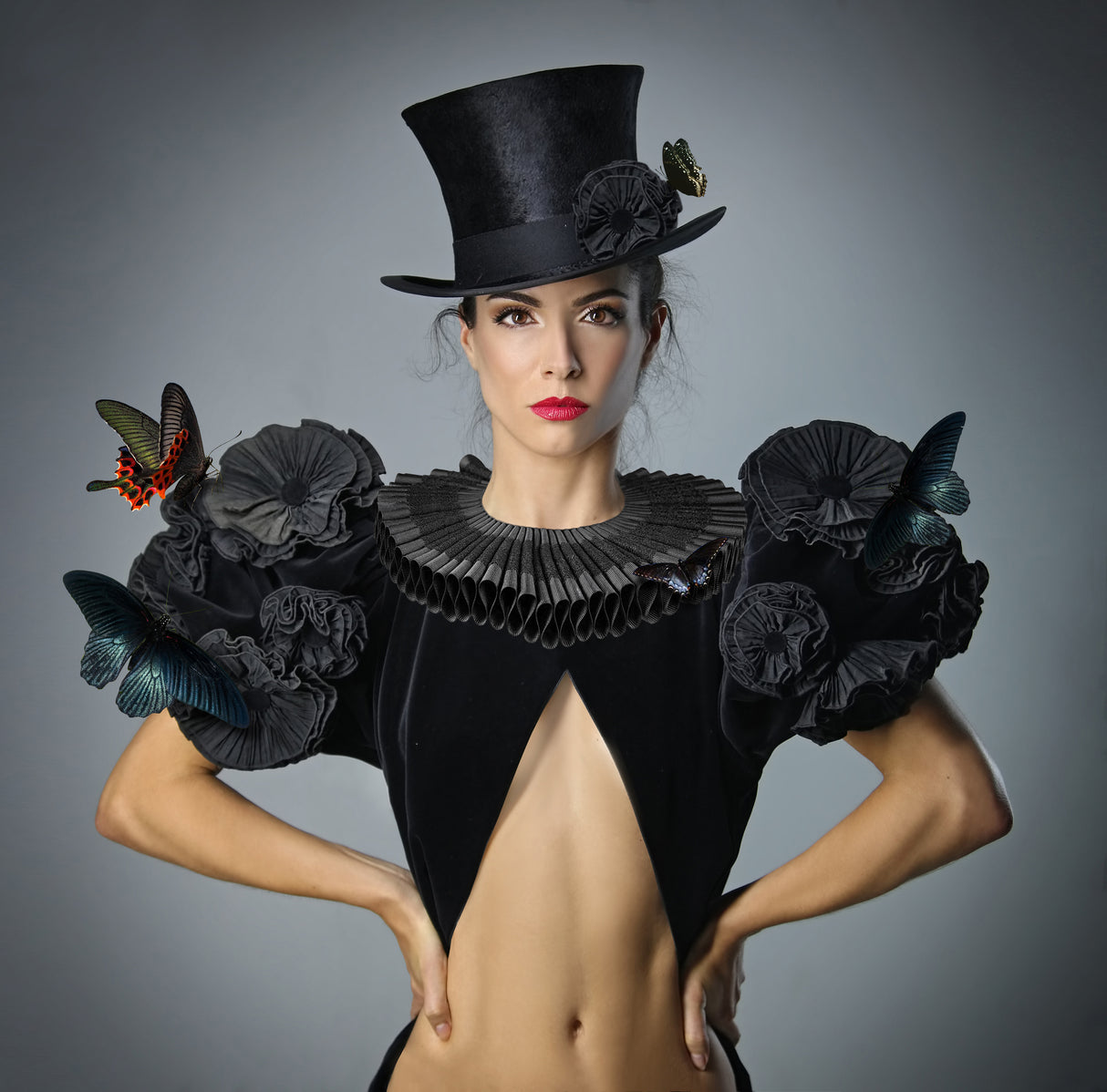 Lady Butterfly Poster och Canvastavla