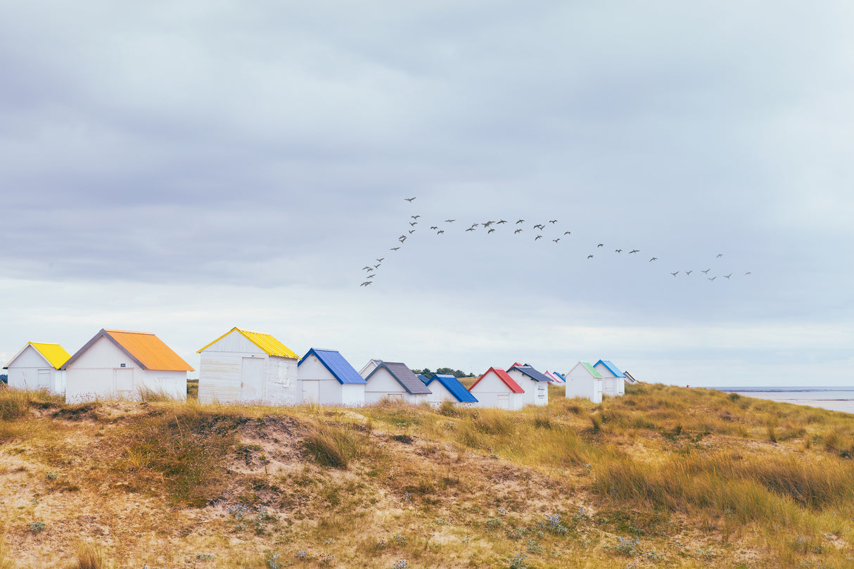 summer day Poster och Canvastavla