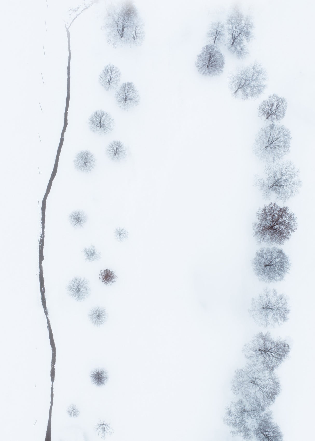 Parallel patterns of Winter Poster och Canvastavla
