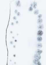 Parallel patterns of Winter Poster och Canvastavla