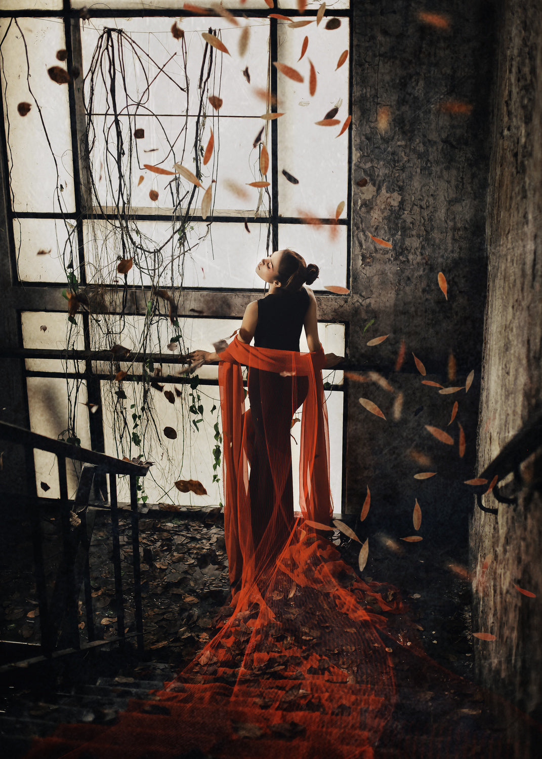 fallen leaves Poster och Canvastavla